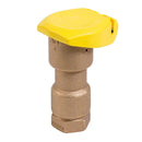 Rain Bird - 5RC - 1 in. Quick Coupling Valve -  - Irrigation  - Big Frog Supply