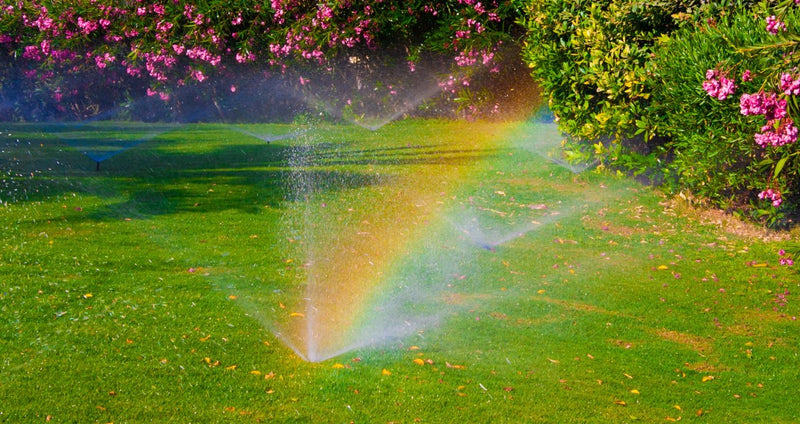 The Benefits of Investing in an Irrigation System