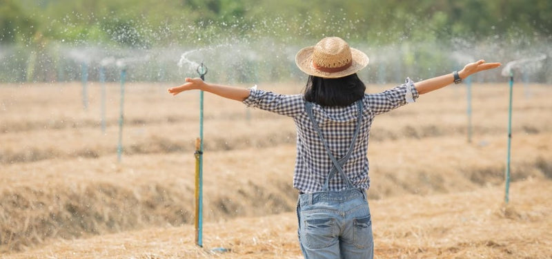 Irrigation System Essentials: Ensuring Efficient Water Management