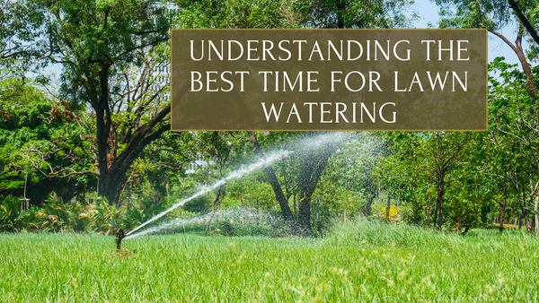Understanding the Best Time for Lawn Watering