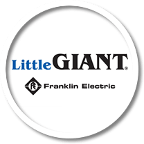 Little Giant