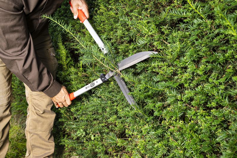 FELCO 250-63 Hedge shears - Length 63cm (24.8 in.)