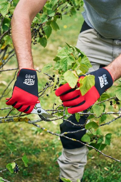 FELCO 704XXL  Cut resistant gloves size XXL