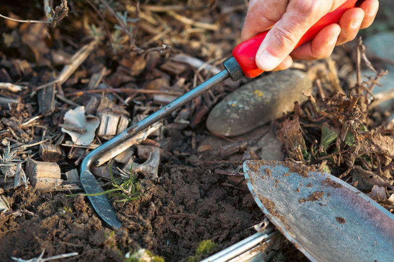 FELCO 421 Gardening hand tool - Weeder