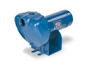 Sta-Rite DS3HF 1.5HP Centrifugal Pump