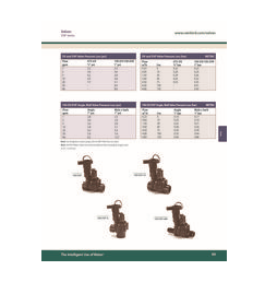 Rain Bird - DV100SS 1" DV Series Inline Plastic Residential Irrigation Valve Slip X Slip