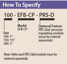 Rain Bird - 200EFBCP 24 VAC 2" Electric Brass Irrigation Valve