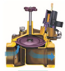 Rain Bird - 100EFBCP 24 VAC 1" Válvula de riego eléctrica de latón