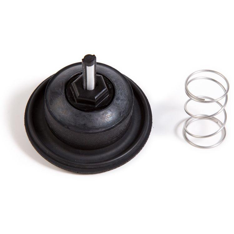 Rain Bird DIAPH100PG - Diaphragm Repair Kit for 1 in. 100-PGA Valves