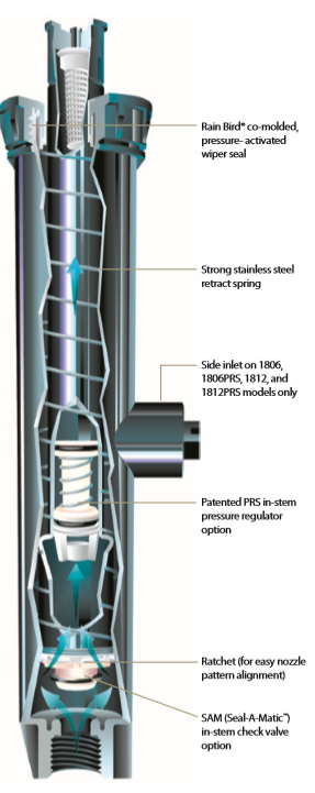 Rain Bird - 1806 1800 Series 6" Spray Head PSI, No Nozzle