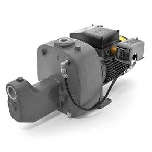 Grundfos JP15S-CI Cast Iron Shallow Well Jet Pump, 1.5 HP, 230V