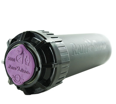 Rain Bird - 5006+PCSAM-NP Plus Tapa no potable con válvula de retención SAM de rotor circular parcial