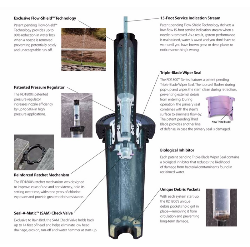 Rain Bird - RD04SP30NP 4" RD1800 Series Spray Head With SAM Check Valve, 30 PSI Pressure Regulator - Non-Potable