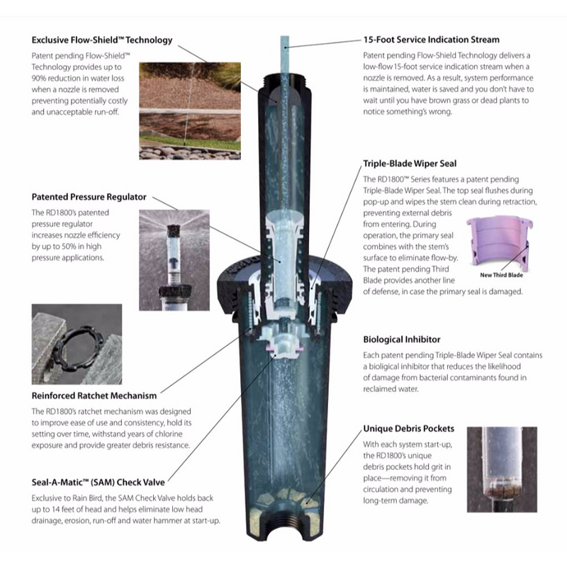 Rain Bird - RD06SP30FN 6" RD1800 Series Spray Head, 30 PSI and Flow Shield, Non Potable