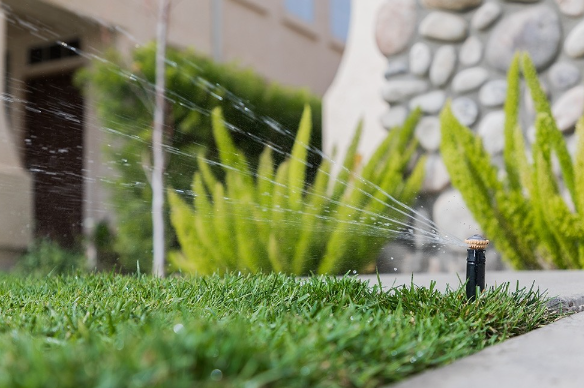 R van top 14 rain bird