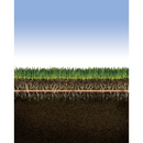 Rain Bird - Línea de goteo XFS Sub-Surface XFS0618500 con tecnología Copper Shield - 0,6 GPH, espaciado de 18", bobina de 500 pies