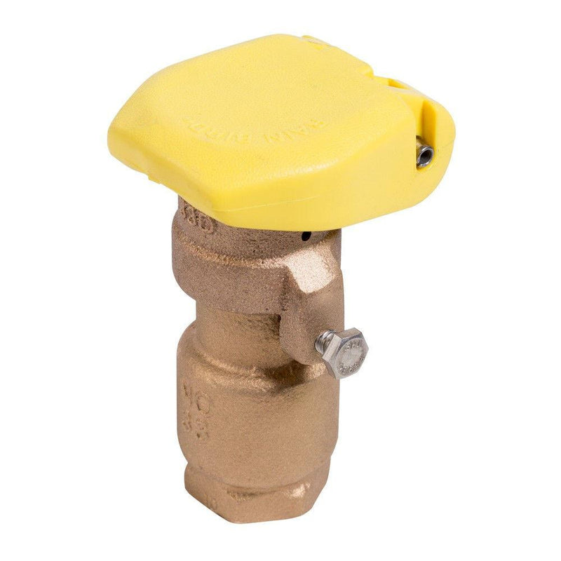 Rain Bird - 33DRC - 3/4 in. Quick Coupling Valve with 2-Piece Body -  - Irrigation  - Big Frog Supply