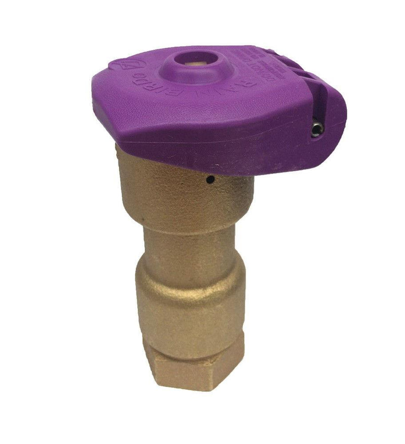 Rain Bird - 5NP Non-Potable Quick Coupling 1 inch Valve, 1-Piece Body, Purple Locking Rubber Cover -  - Irrigation  - Big Frog Supply