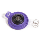 Rain Bird - DIAPH100G - Diaphragm Repair Kit for 100 EFA Valves -  - Irrigation  - Big Frog Supply