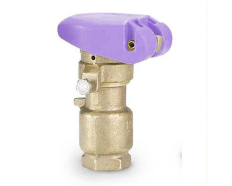 Rain bird - Non-Potable Valves with Purple Locking Cover -  - Irrigation  - Big Frog Supply - 1