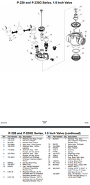 Válvula de globo/ángulo TORO P-220